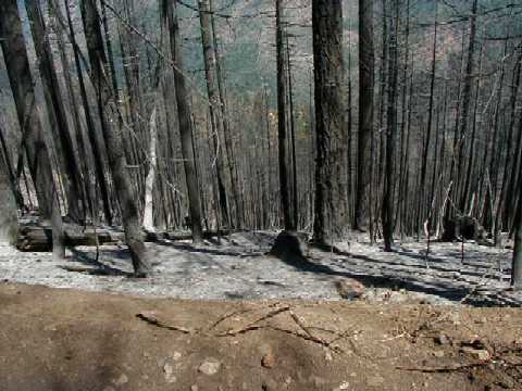 Storrie Fire
